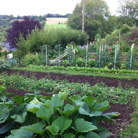 Bed & Breakfast D'hotes Du Domaine De Serre Anglards-de-Salers